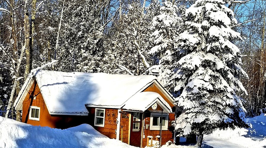 Copper Ridge Cottage #9