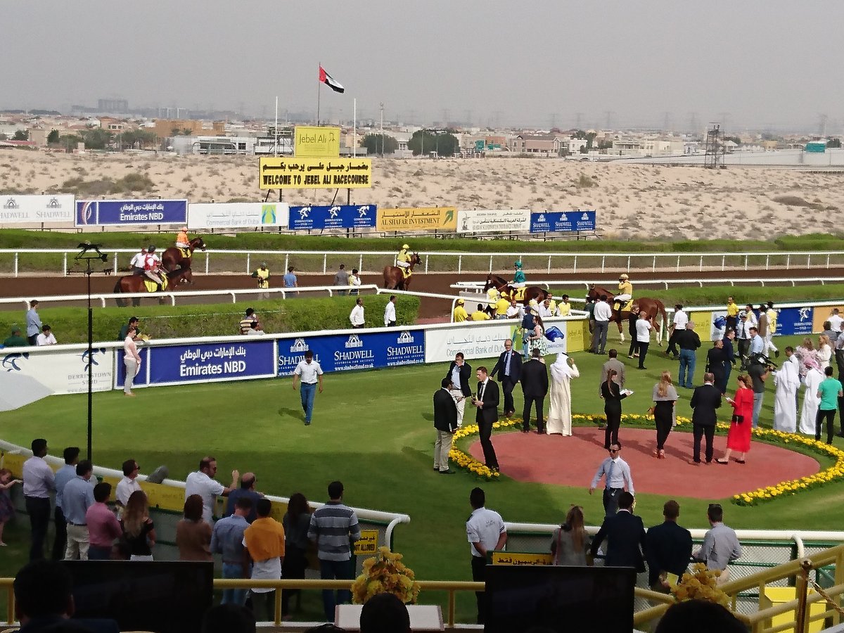 Jebel Ali Racecourse (Dubaï) : 2022 Ce qu'il faut savoir pour votre