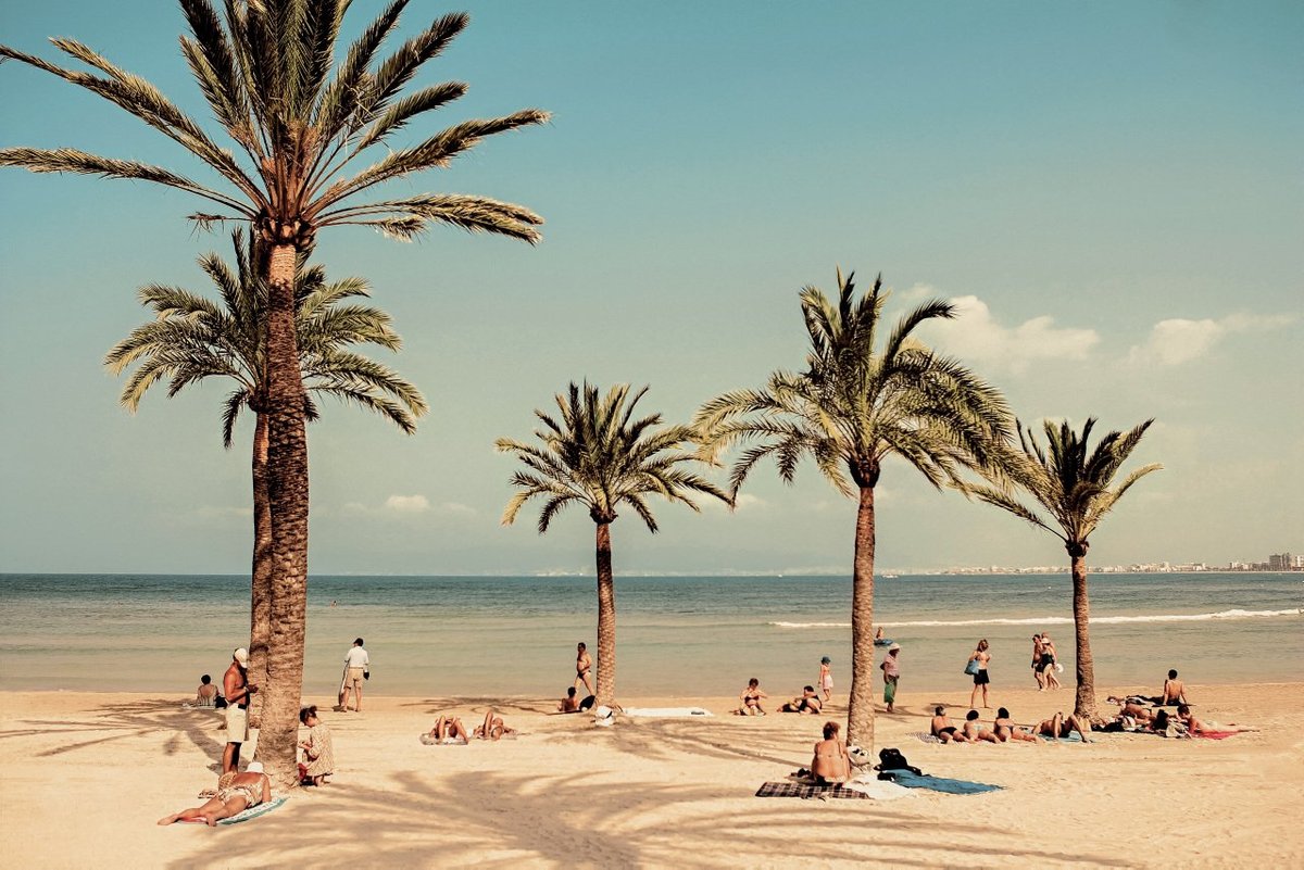 COOK'S CLUB PALMA BEACH $178 ($̶2̶0̶5̶) - Updated 2022 Prices & Hotel ...