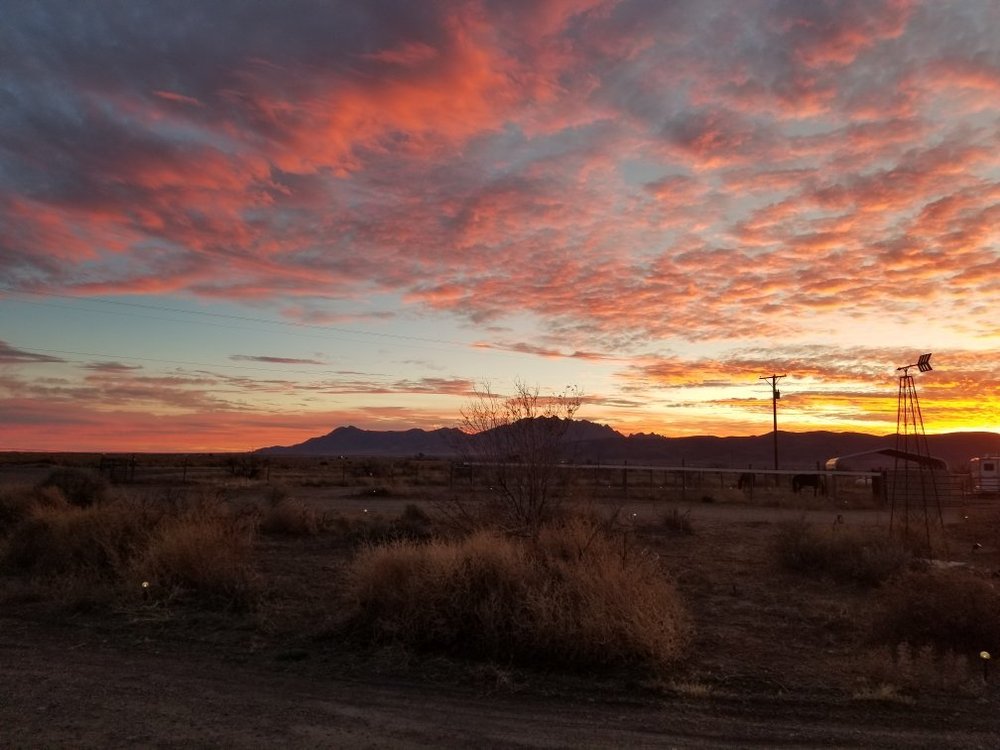 LAZYKO RANCH: Reviews (Deming, NM) - Photos of Ranch - Tripadvisor