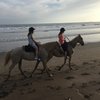 Candace L