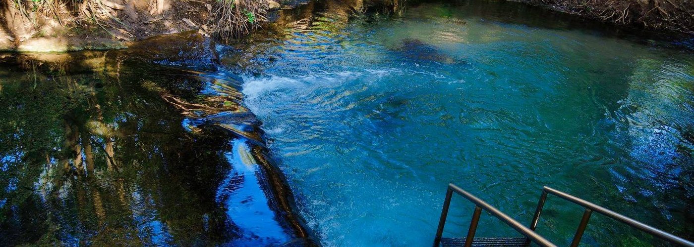 Located at the back of our park on the banks of the Katherine River. This shady, spring fed, thermal pool is an ideal and safe swimming area, great for soaking your tired muscles. The hot springs are well grassed with shady spots and sunbathing areas. Just right for a picnic.