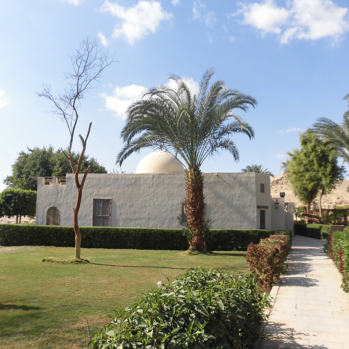 Howard Carter House, Луксор: лучшие советы перед посещением - Tripadvisor