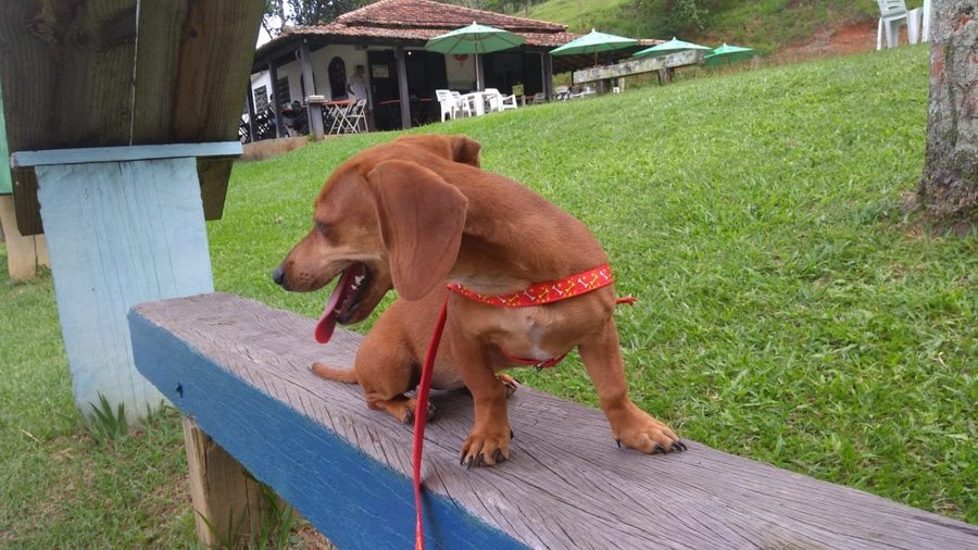 Pousada E Pesque Pague Vale Das Palmeiras