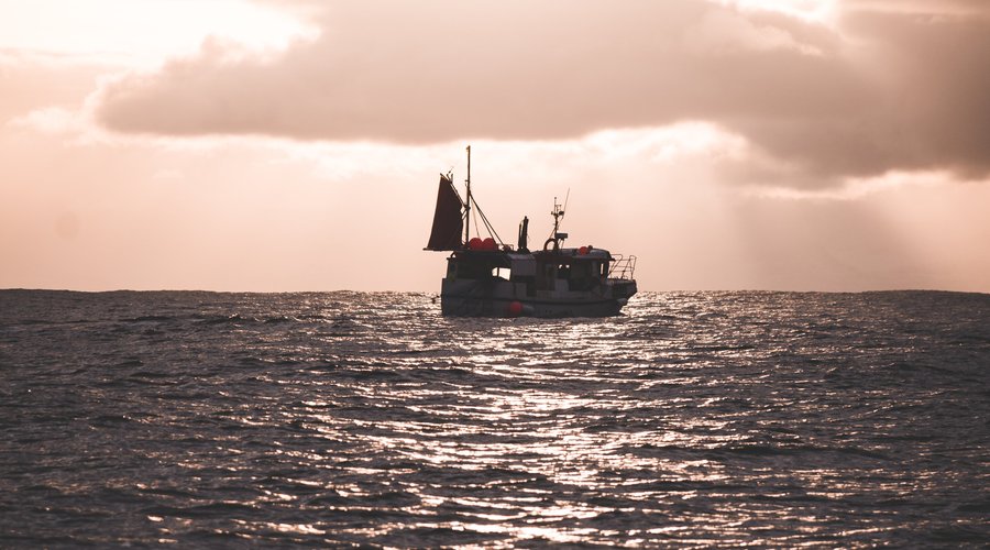 Lofoten fishery in February.