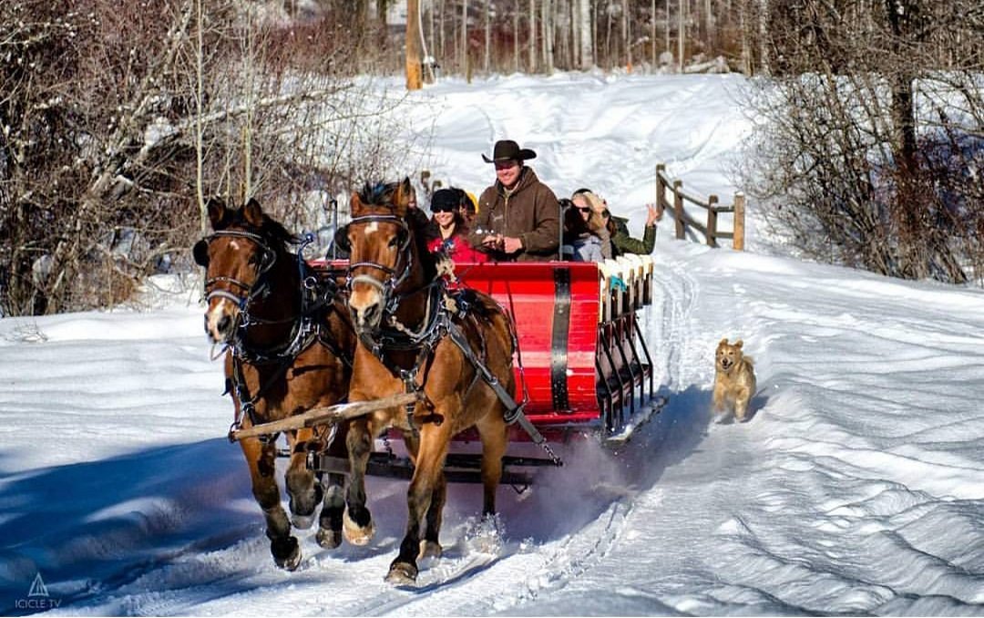 leavenworth sleigh rides tours