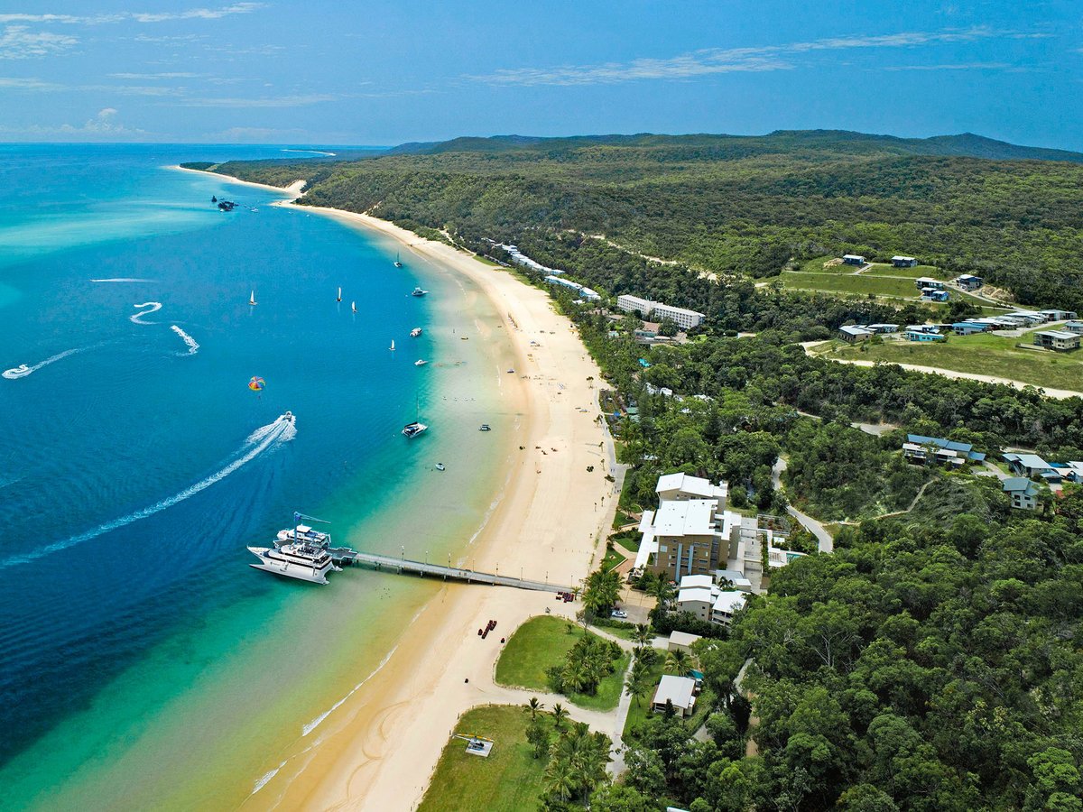 are dogs allowed on moreton island