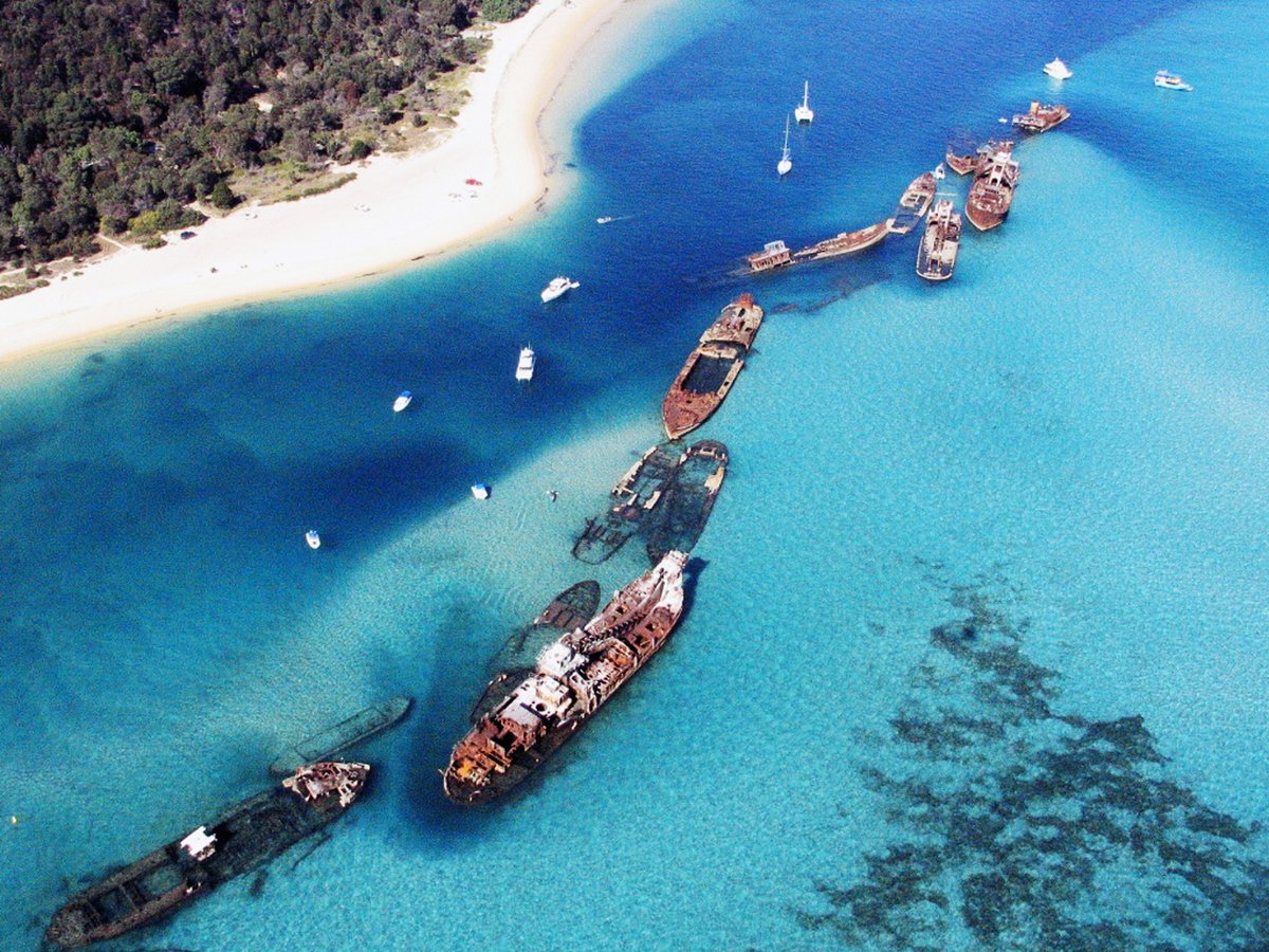 are dogs allowed on moreton island