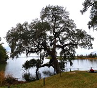 Mepkin Abbey, Moncks Corner