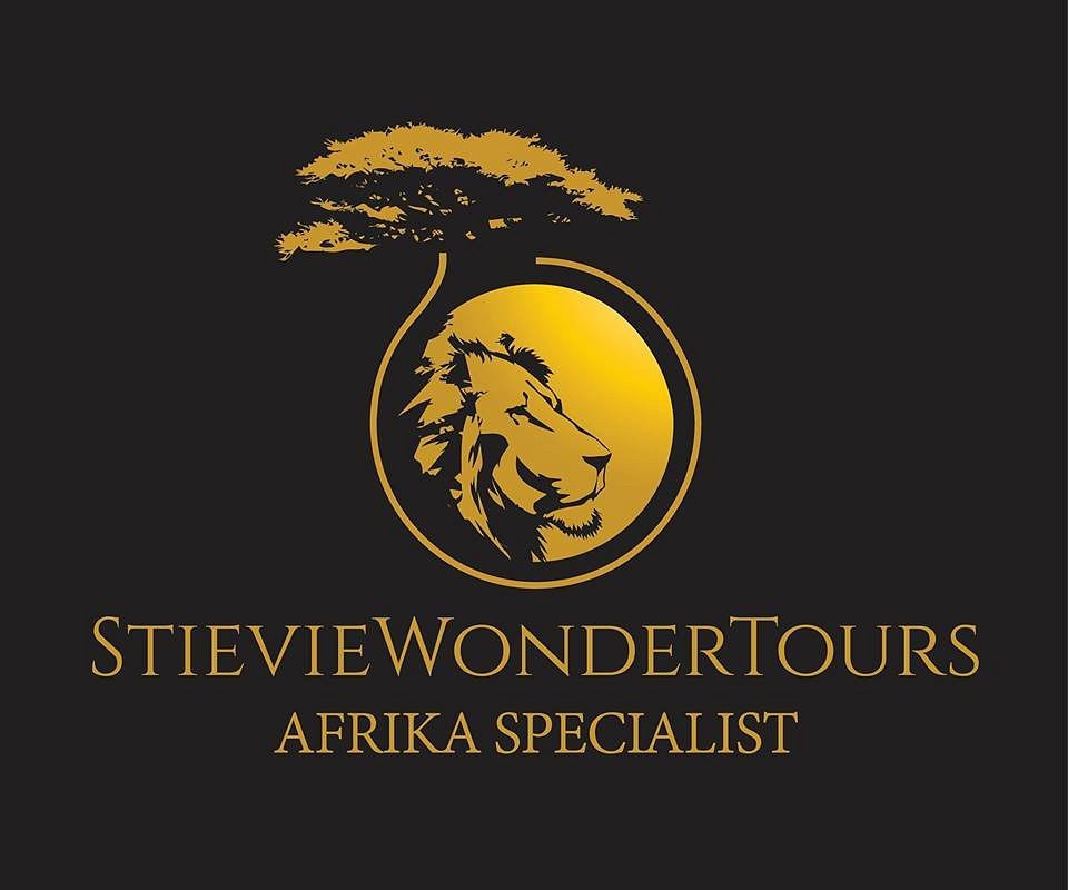 stevie wonder tours south africa