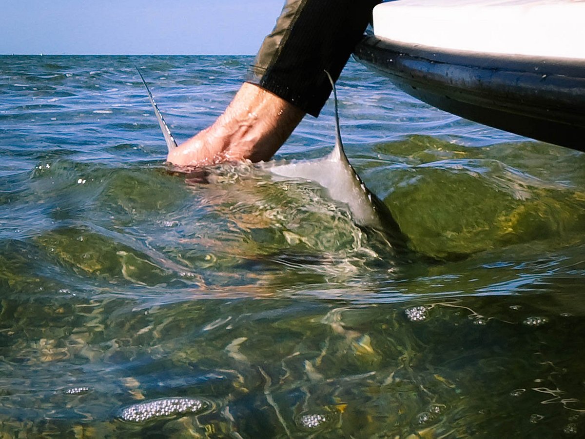 Rod bending action - Picture of Florida Keys Flats Fishing, Key Largo -  Tripadvisor