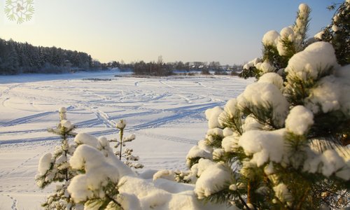 р.Кубань, Сосновый бор, Костромская область