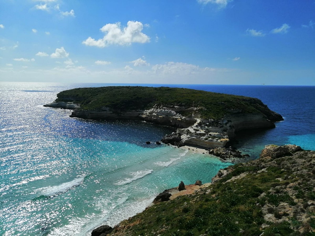 Isola dei Conigli (Lampedusa) - Lo que se debe saber antes de viajar - Tripadvisor