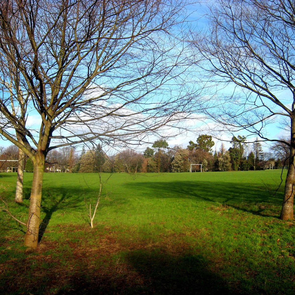 Review and photos of Ringsend Park playground