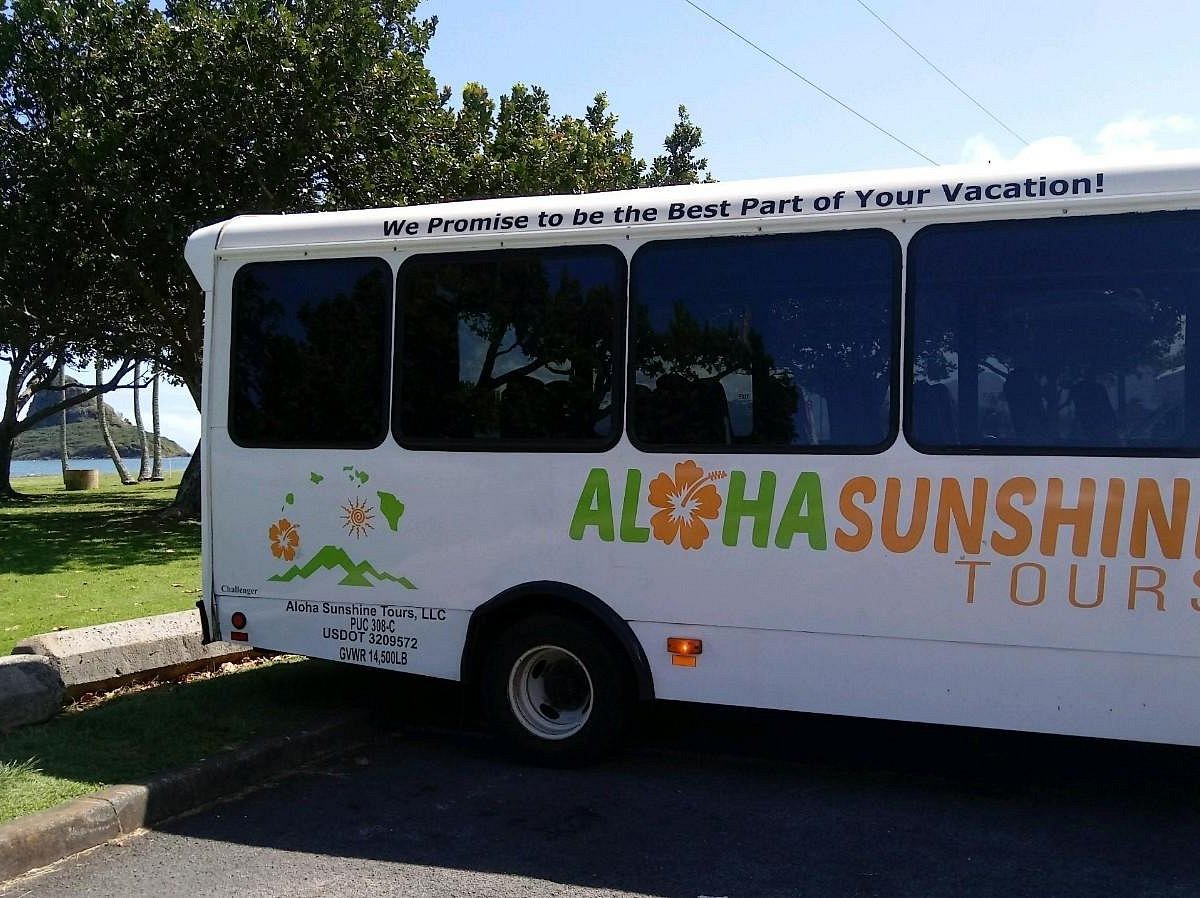 aloha sunshine tours hawaii