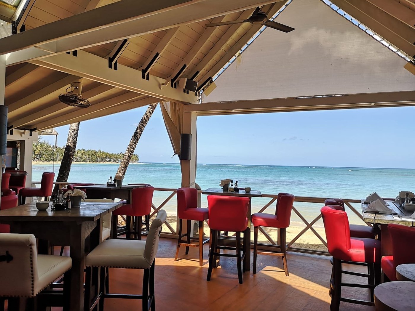 XO LAS TERRENAS - Restaurant Reviews, Photos & Phone Number - Tripadvisor