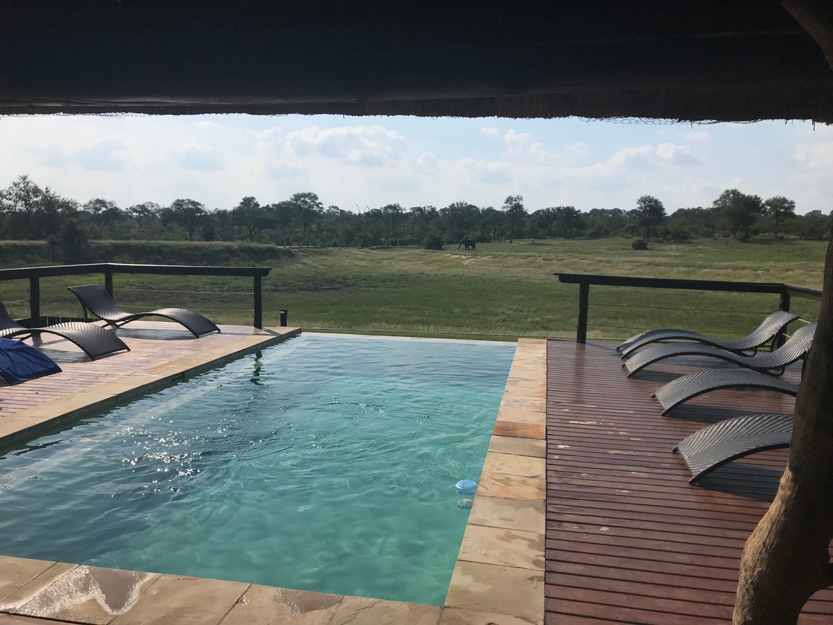 Arathusa Safari Lodge Pool: Pictures & Reviews - Tripadvisor