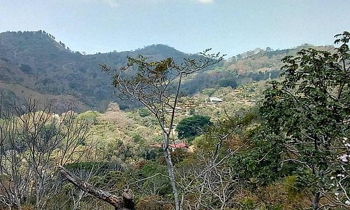 View of the coffee farm valley