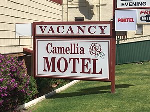 Camellia Motel Narrandera in Narrandera, image may contain: Grass, Sign, Yard, Vegetation