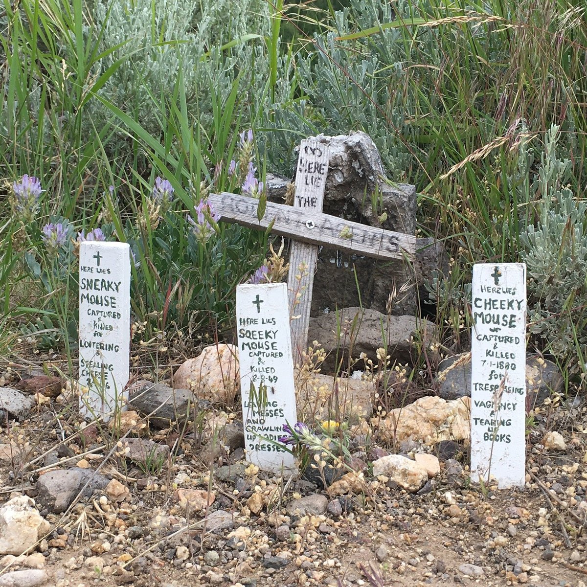 Boot Hill Cemetery (Virginia City) - Tripadvisor