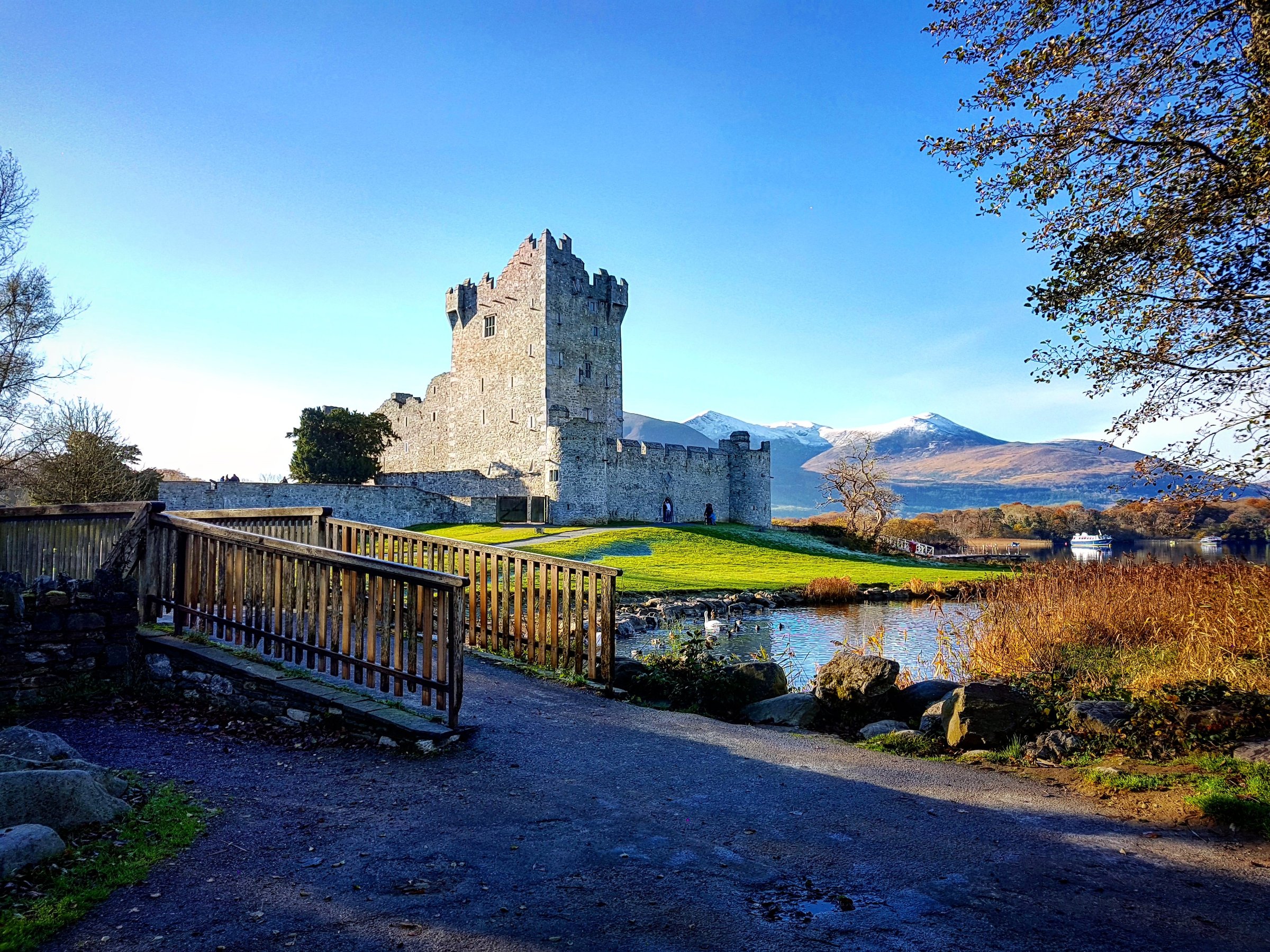 Killarney Jaunting Cars Tangney Tours (2025) - All You Need to Know ...