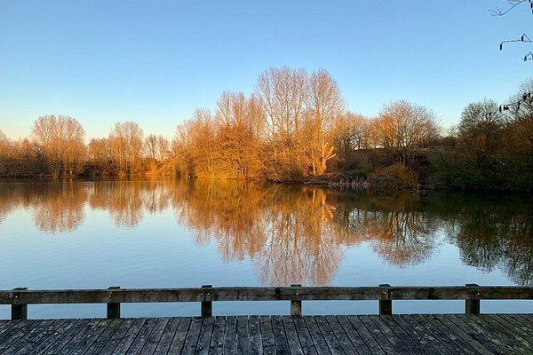 How to get to Brandon Marsh Nature Reserve in Ryton-On-Dunsmore by