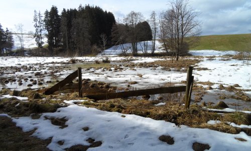 Back garden Alzenhof