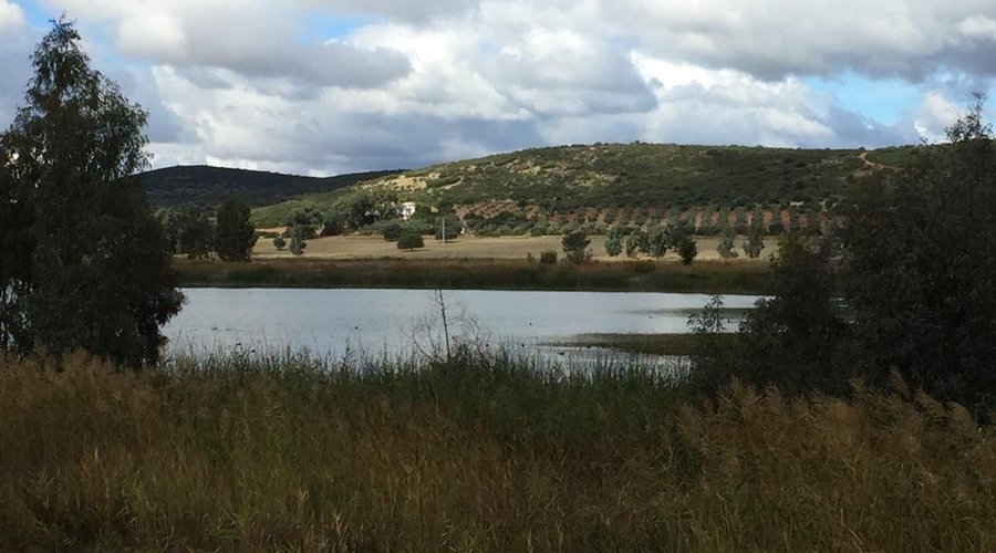 Pantano de Gasset