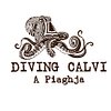 Diving Calvi a piaghja