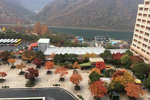 충청북도 수영장이 있는 호텔 추천 베스트 5 - Tripadvisor