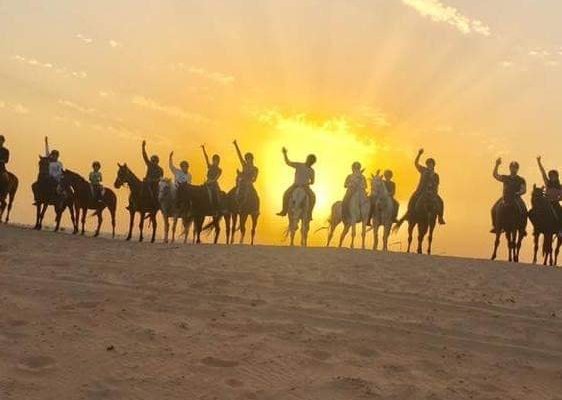 Dubai 2019 Tshirt Vacation Camel Souvenir Group Image Gifts