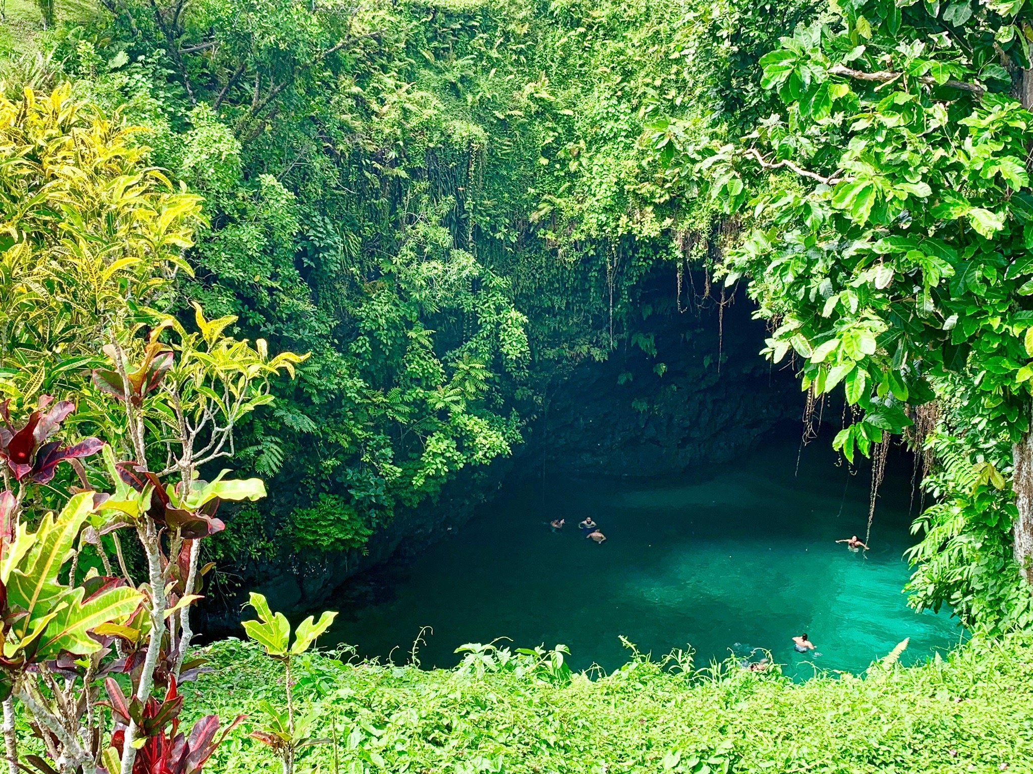 Samoa kinderen clearance groen