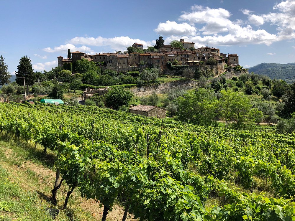 greve chianti wine tours