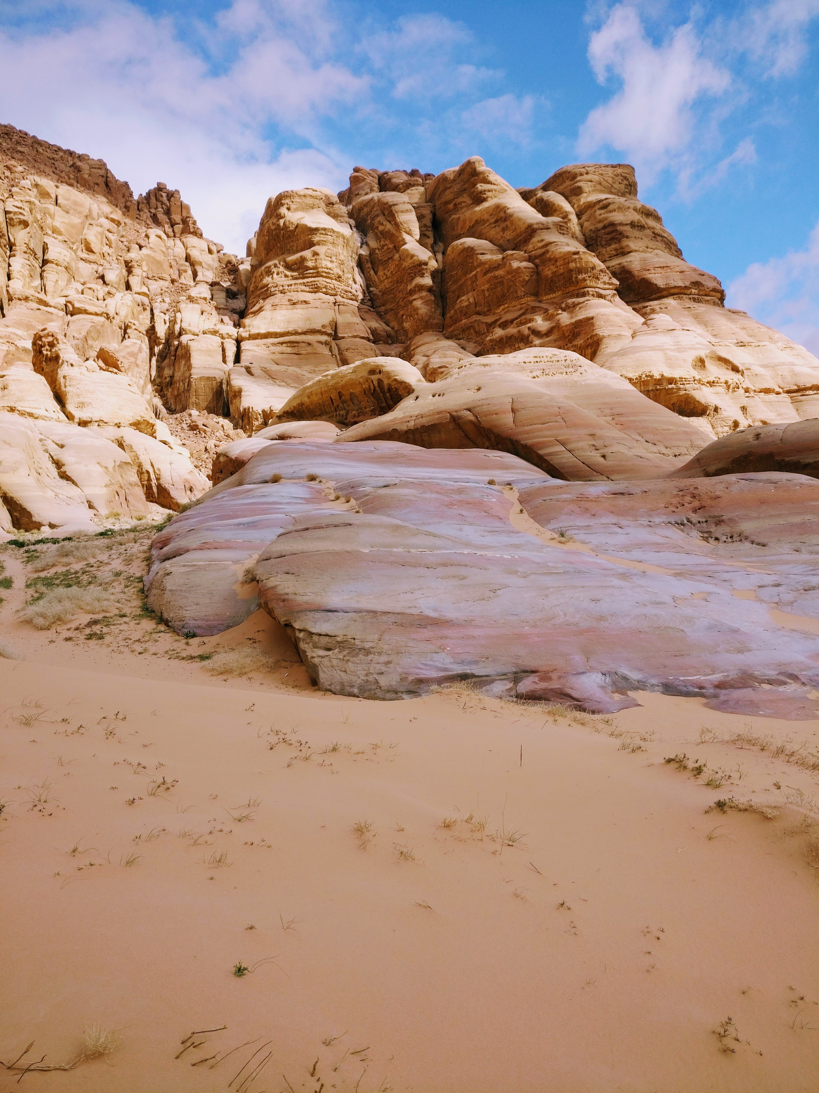 Wadi Rum Adventure Tours (Wadi Rum Village) - ATUALIZADO 2023 O Que ...