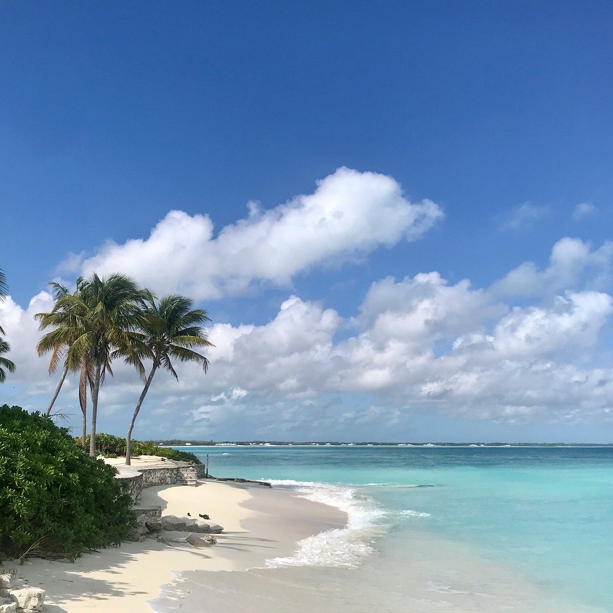 остров андрос багамы