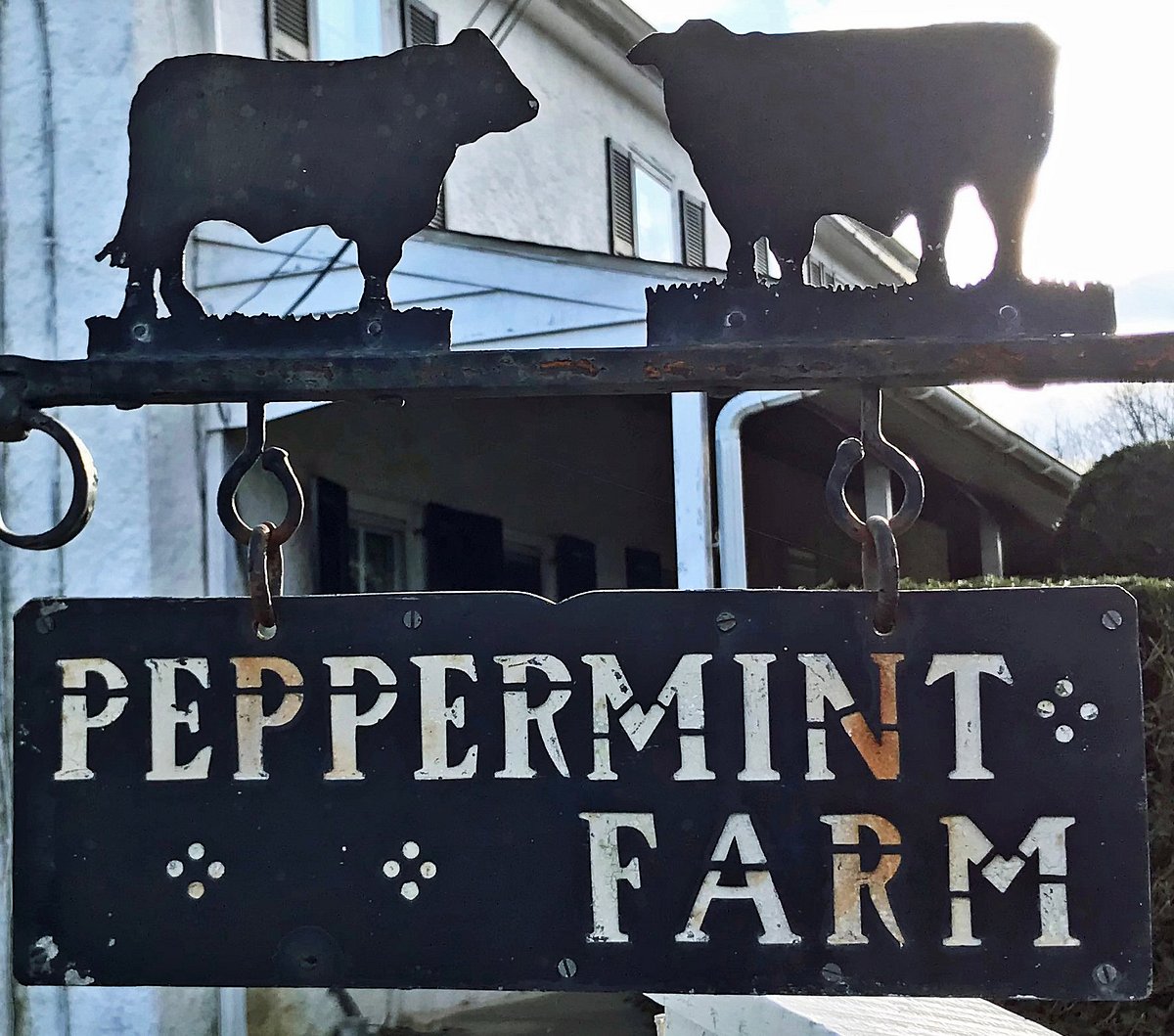 Peppermint Farm 2019 ?w=1200&h= 1&s=1