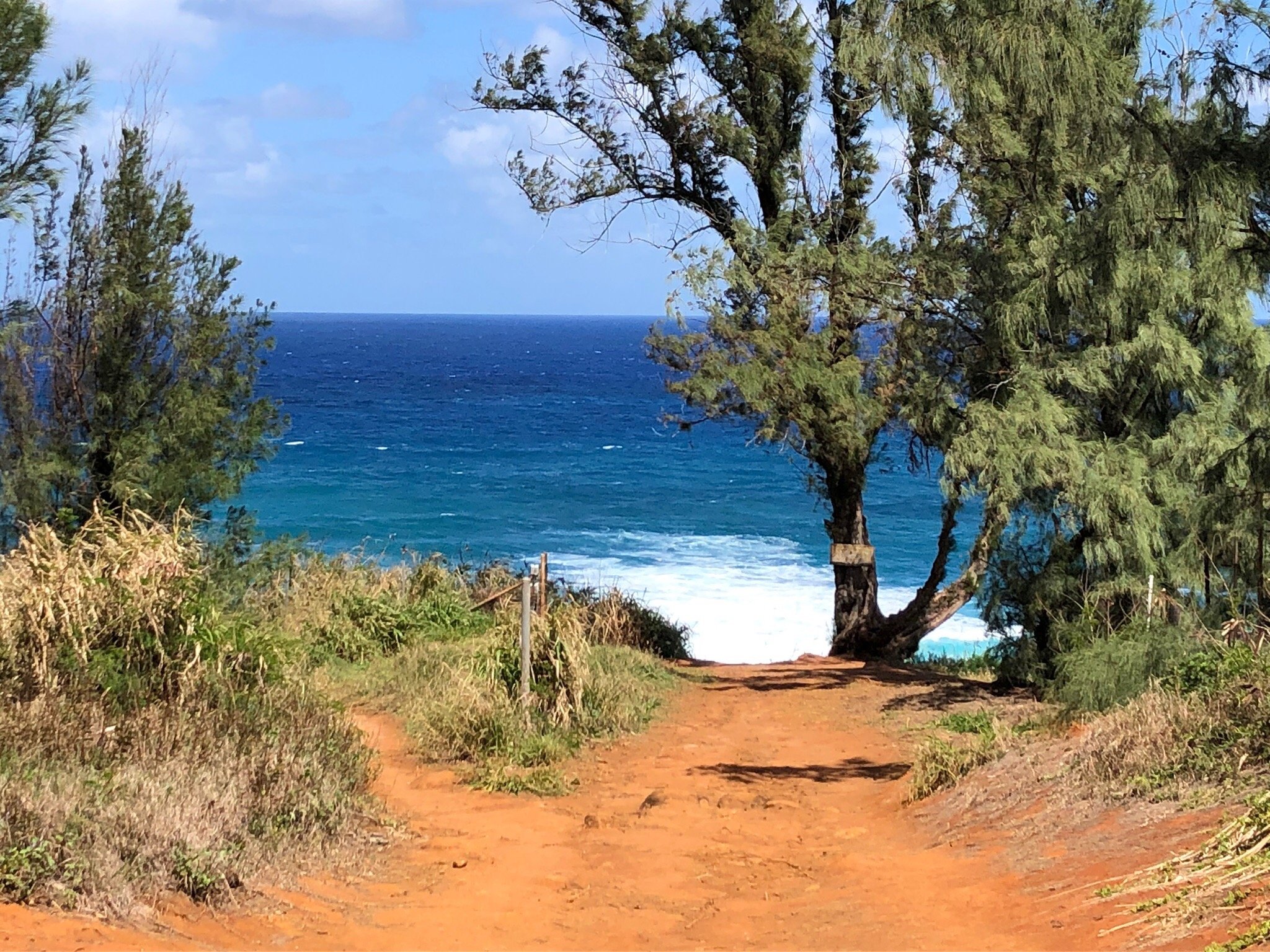 Kauai Larsen's Beach: Uncovering the Hidden Gem of Hawaii