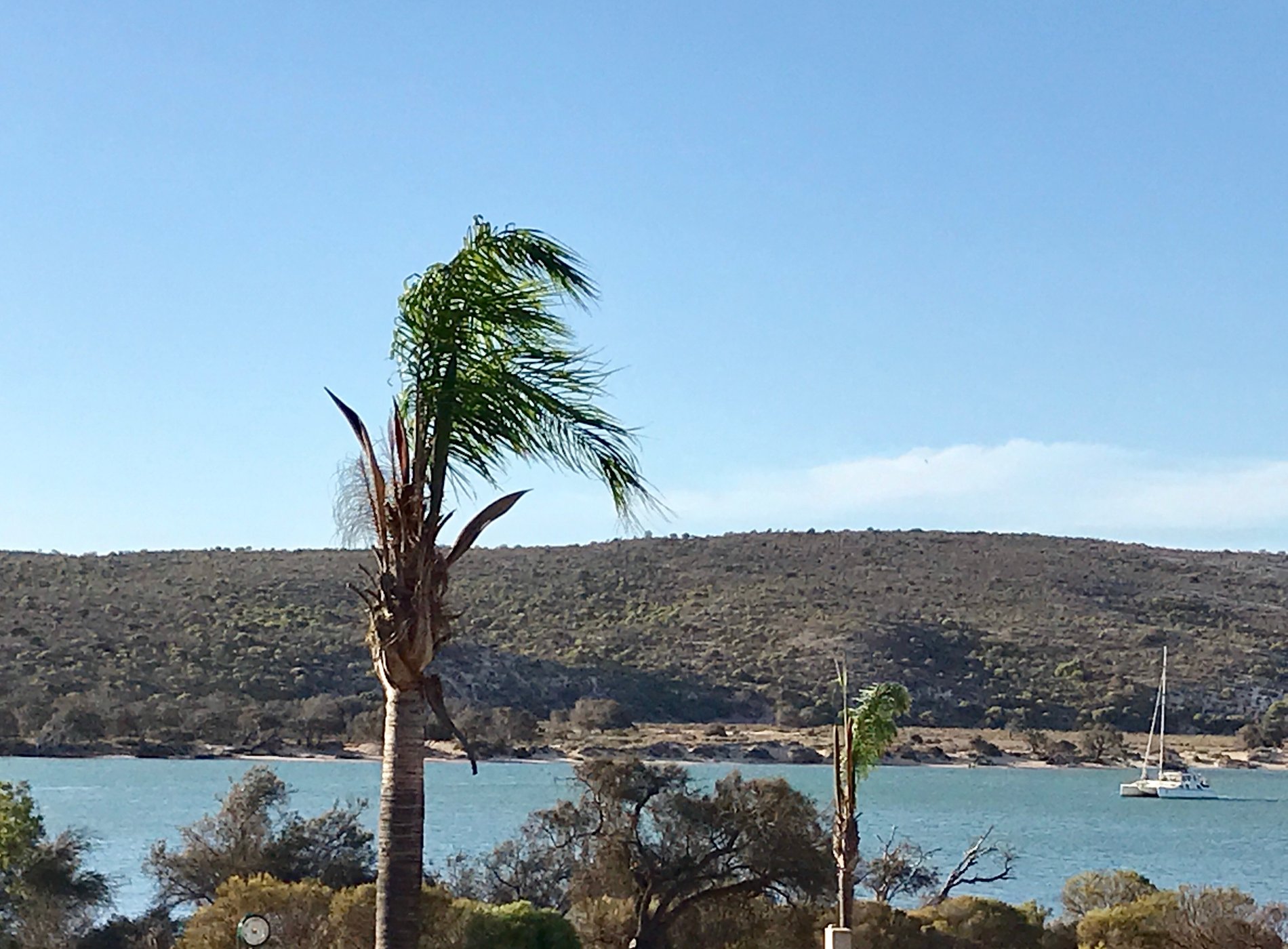 Kalbarri Anchorage Caravan Park by null