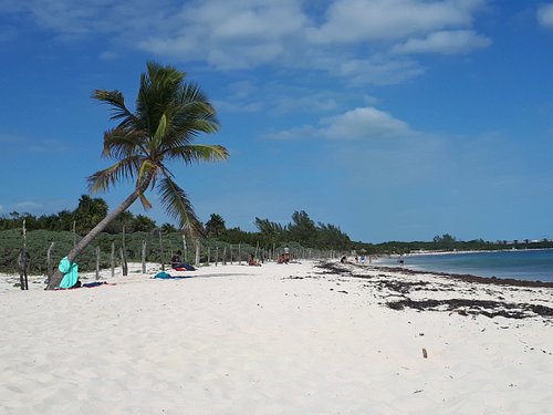 LAS 10 MEJORES cosas que hacer románticas en Playa del Carmen para parejas | Tripadvisor LAS 10 MEJORES cosas que hacer románticas en Playa del Carmen para parejas | Tripadvisor