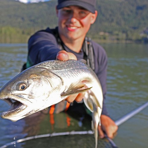 THE 5 BEST Whistler Fishing Charters & Tours (Updated 2024)