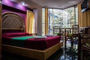 Habitación y suite