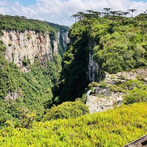 Apiário de Cambará do Sul oferece Passeio do Mel - Celso Sgorlla