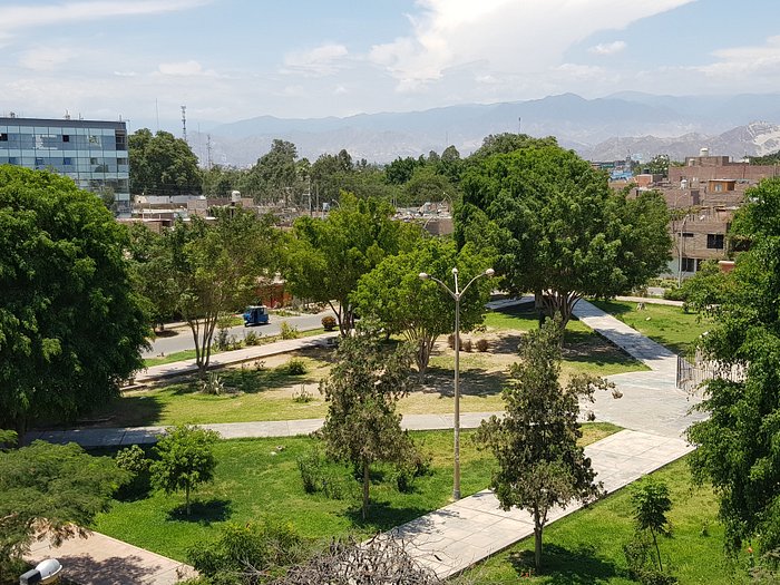 Estantería dorada Duna