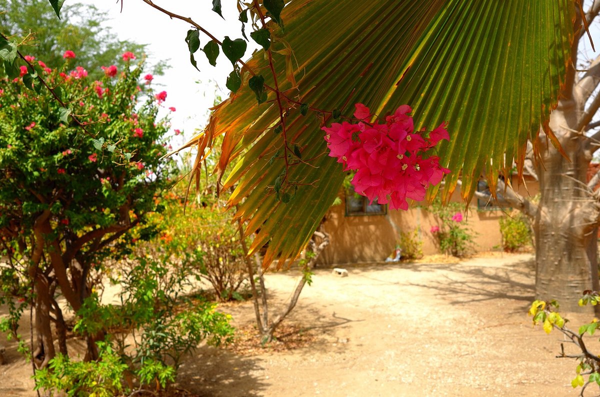 Auberge Plein Soleil Mbodiene Sénégal Tarifs 2024 Et 9 Avis 3522