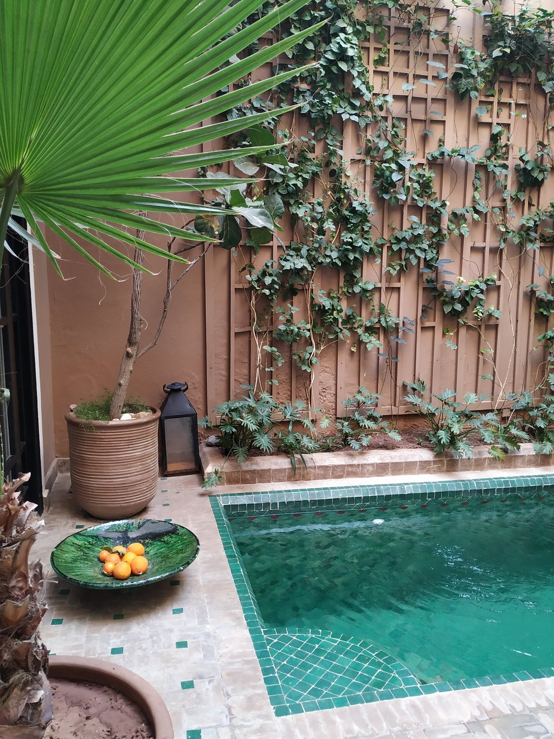 Avis et photos de la piscine de l'Riad Olema & Spa - Tripadvisor