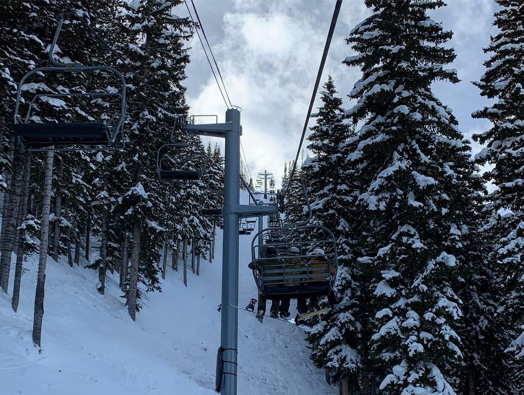 are dogs allowed at park city mountain resort