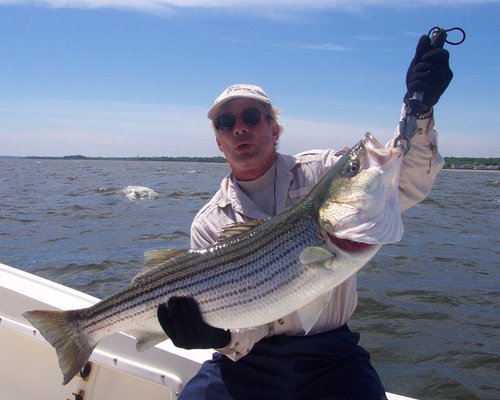 New York Fishing  Outdoor Adventures & Things to Do