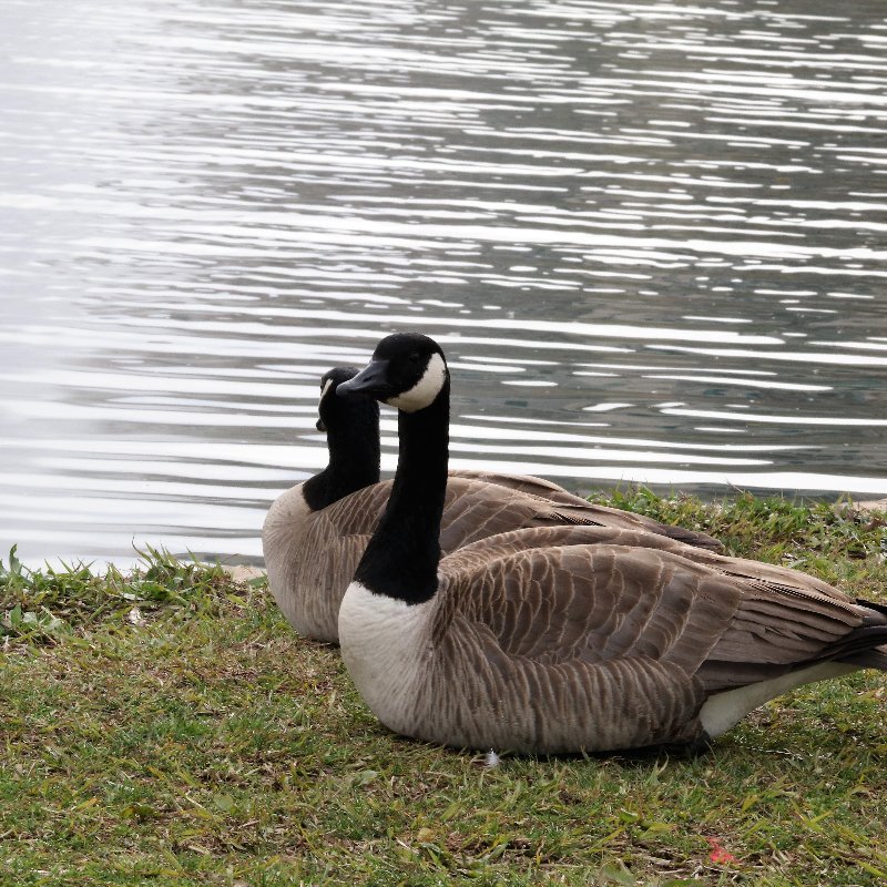 Granite Regional Park (Sacramento): All You Need To Know