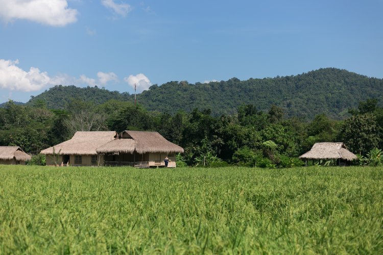 View of the lodge