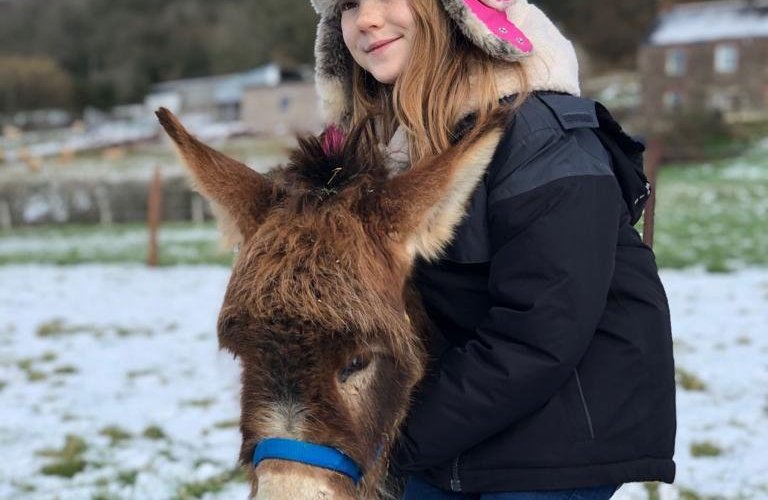 Meeting donkeys in the snow!
